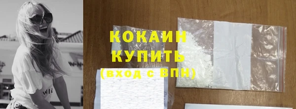 прущие грибы Володарск