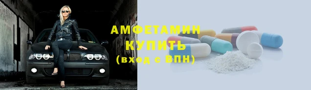 прущие грибы Володарск