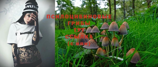 прущие грибы Володарск