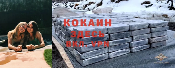 прущие грибы Володарск